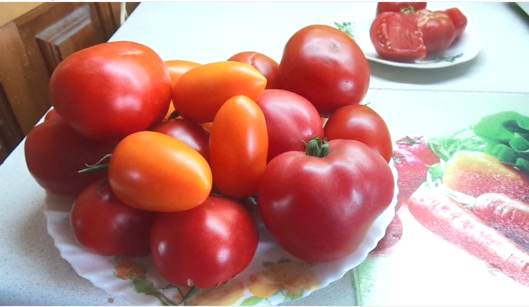 Томат Госпожа Удача. №66 в моем каталоге ОГОРОДНАЯ АЗБУКА ОЛЬГИ ЧЕРНОВОЙ.