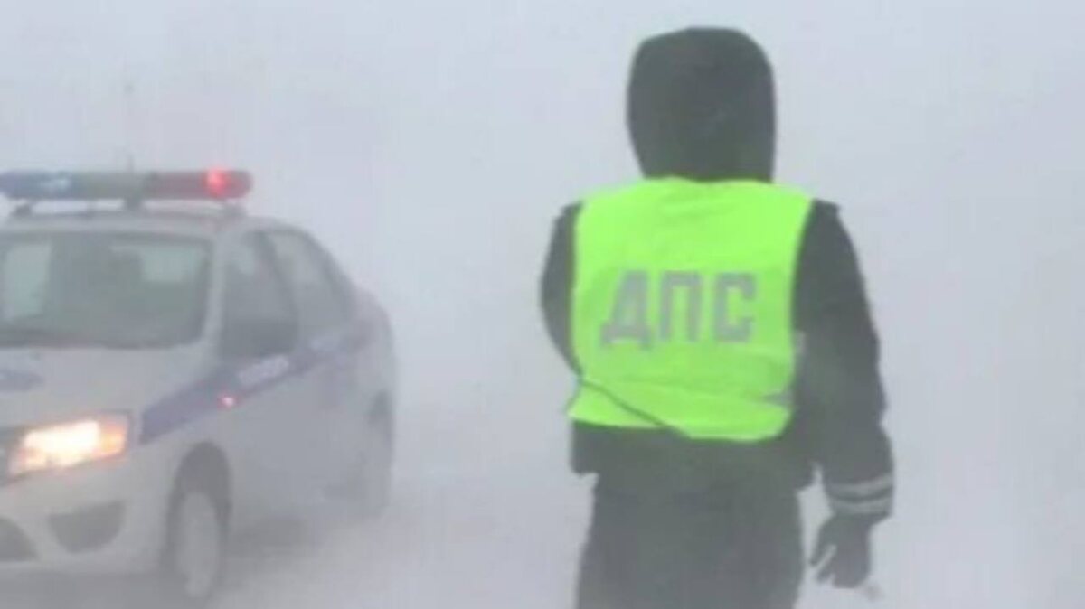    Фото ГУ МВД РФ по Самарской области