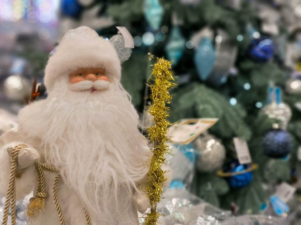    Фото: REGIONS/Роман Малышенко