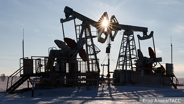     Фото: Егор Алеев/ТАСС   
 Текст: Катерина Туманова