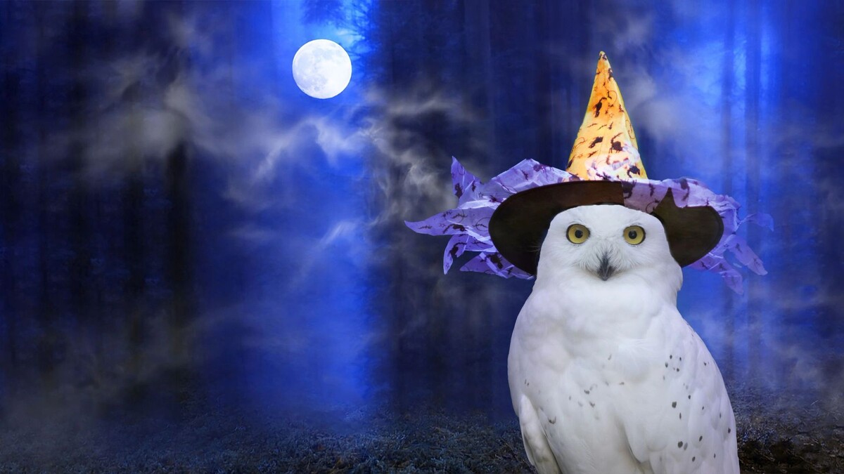    Фото: Wizard Goodvin/Shutterstock/Fotodom