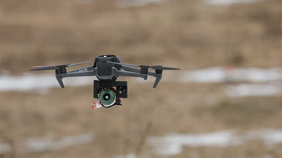    Фото: Global Look Press/Alexey Belkin