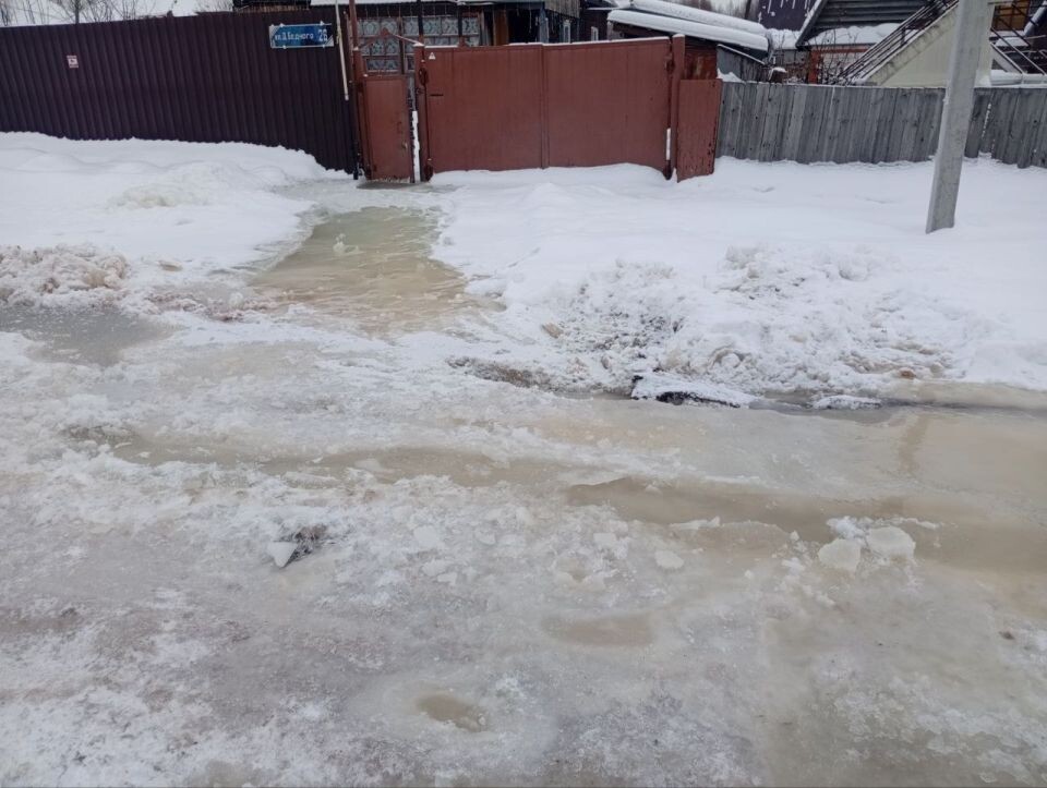    Улица Демьяна Бедного в Барнауле. Источник: предоставлено жителями улицы