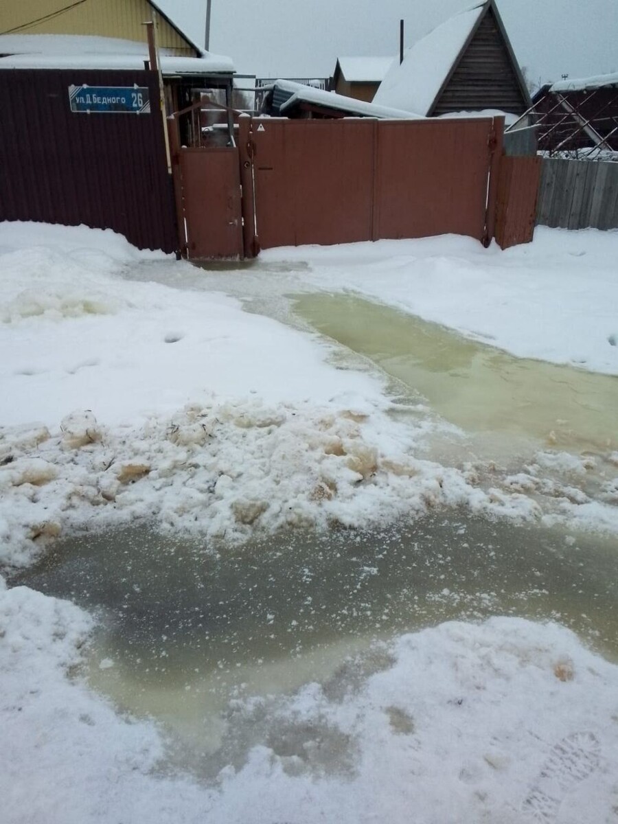    Улица Демьяна Бедного в Барнауле. Источник: предоставлено жителями улицы