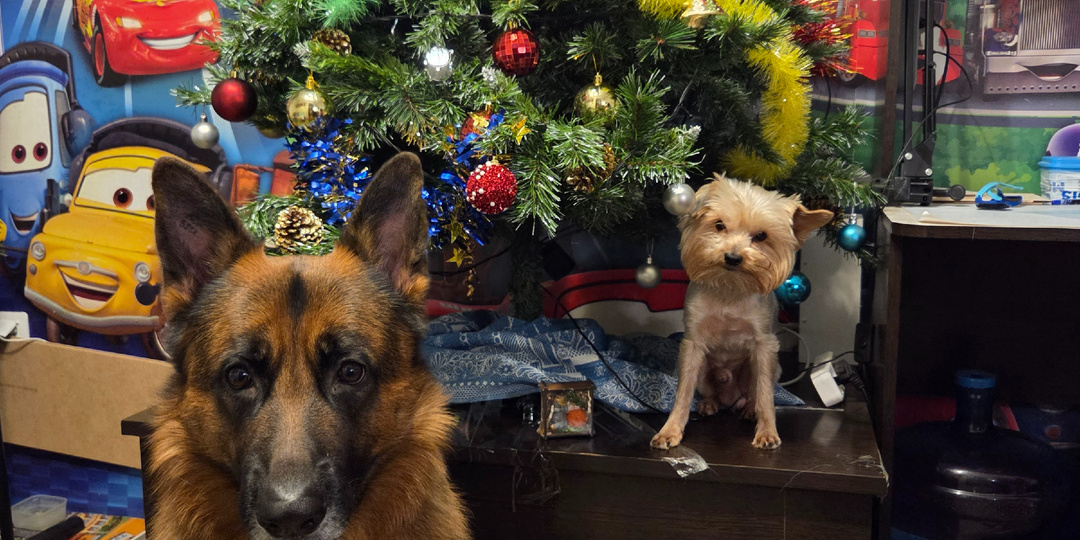 Итоги нашего 2025 года