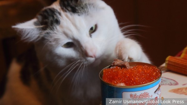     Фото: Zamir Usmanov/Global Look Press   
 Текст: Катерина Туманова