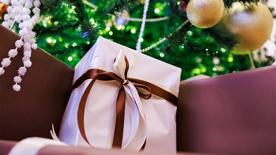    Фото: Global Look Press/Sergey Elagin