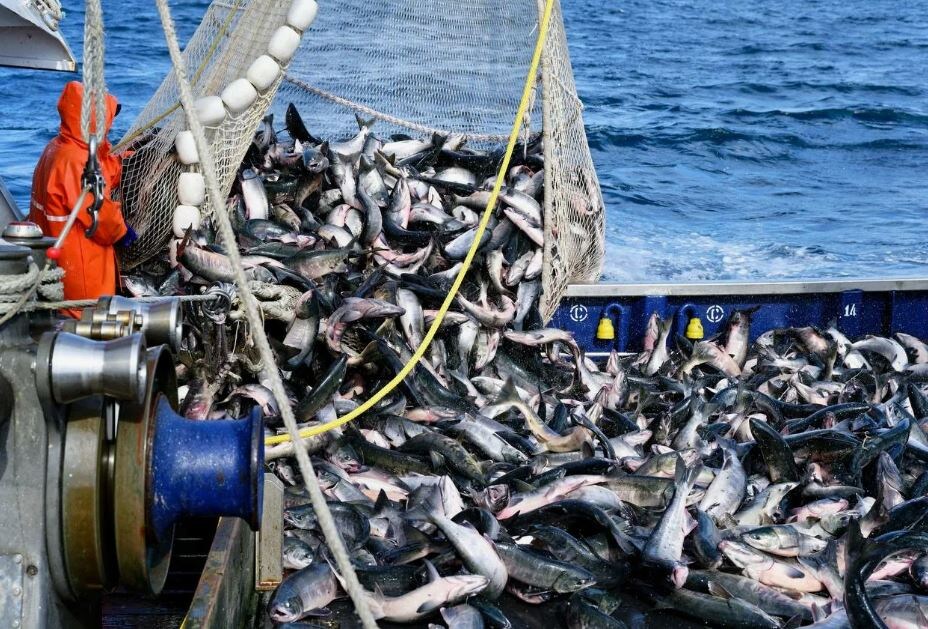 Иллюстрация из открытых источников