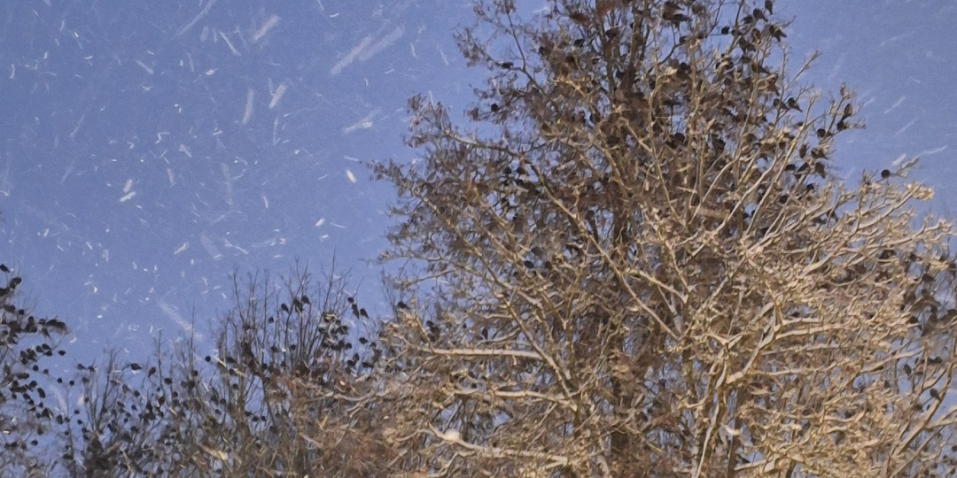 Последний рабочий день в уходящем году.