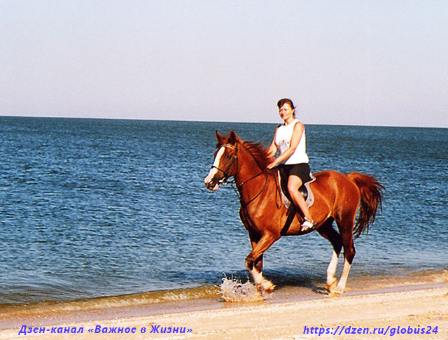 Год Красной Огненной Лошади уже мчит навстречу…