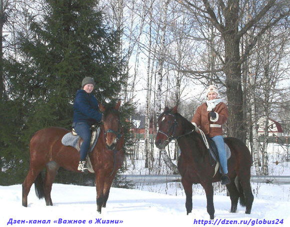 Прогулка на лошадях