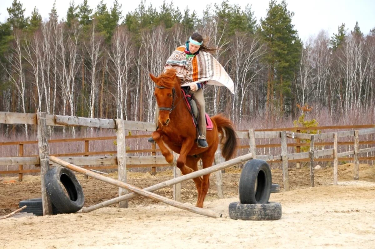    Частота сердечных сокращений лошади синхронизируется с частотой сердечных сокращений человека, который с ней взаимодействует.