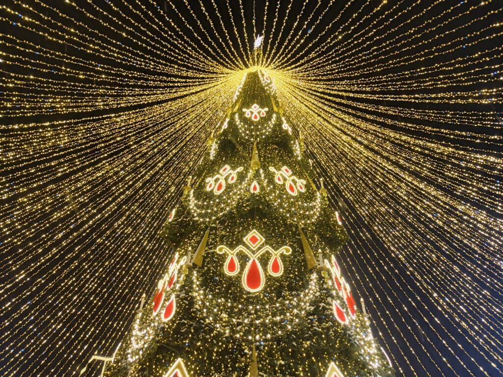    Фото: v-kurse.ru Полина Анкушина