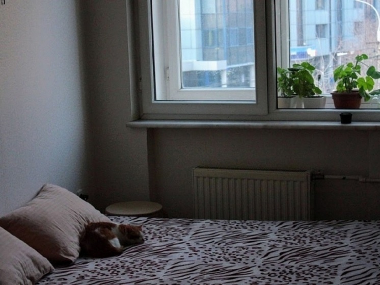     © Фото: ИД «Волгоградская правда» / архив