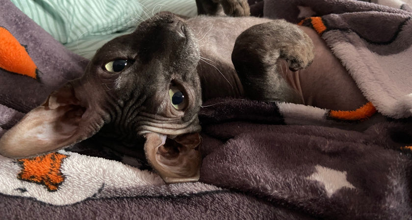    фото из архива редакции