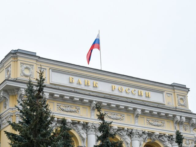    Фото: Москва 24/Никита Симонов