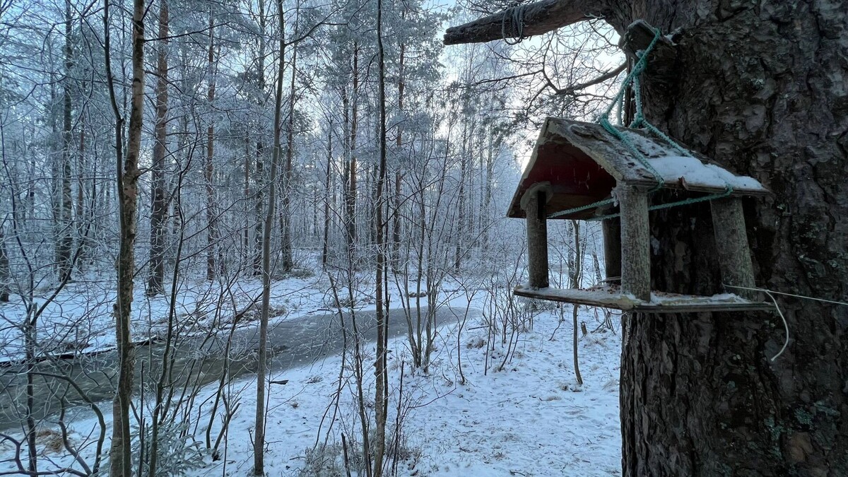    Погода в январе в России и Удмуртии   1MI