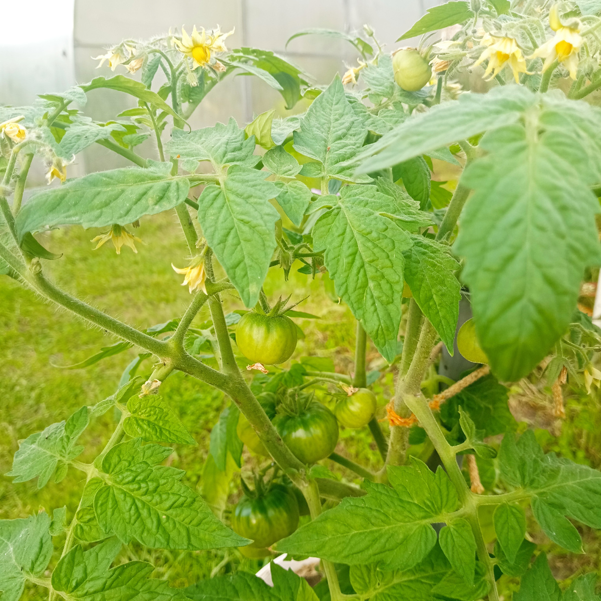 сентябрь 2025г