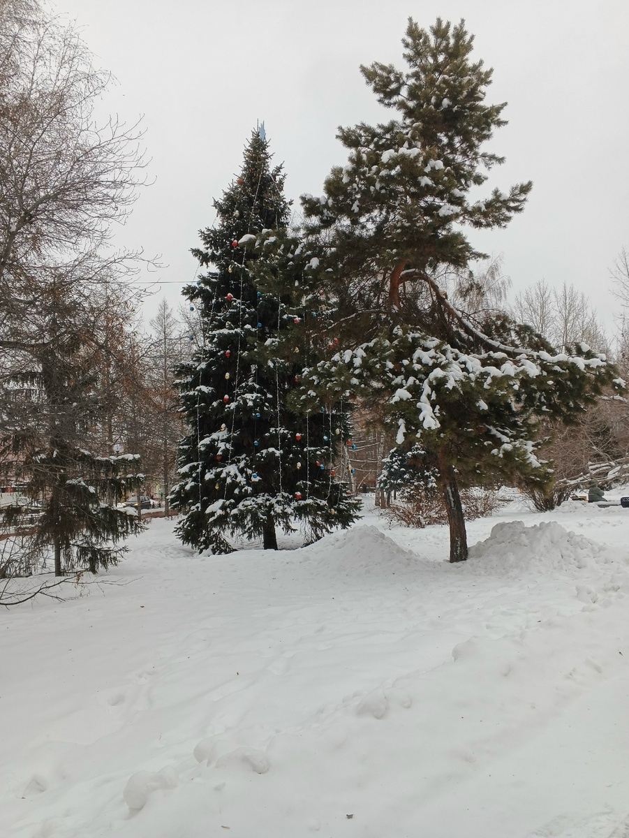 Сквер образца 23.12.2025