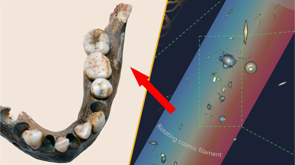    Необычные открытия недели: миллионы лет изоляции, космические гиганты и загадочные склепы