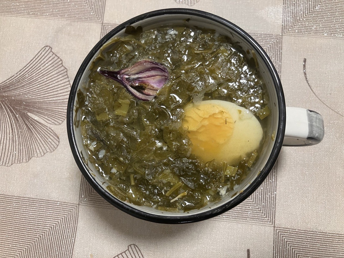 Зеленый борщ - щавелевый суп с курицей