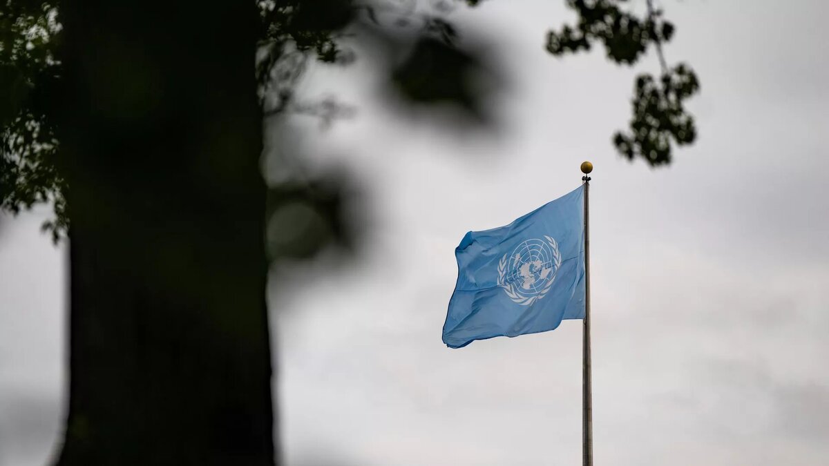 © AP Photo / Angelina Katsanis