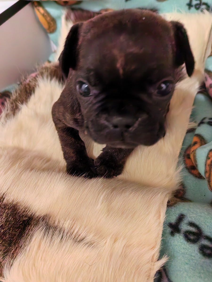 Здесь и далее фото из архива автора