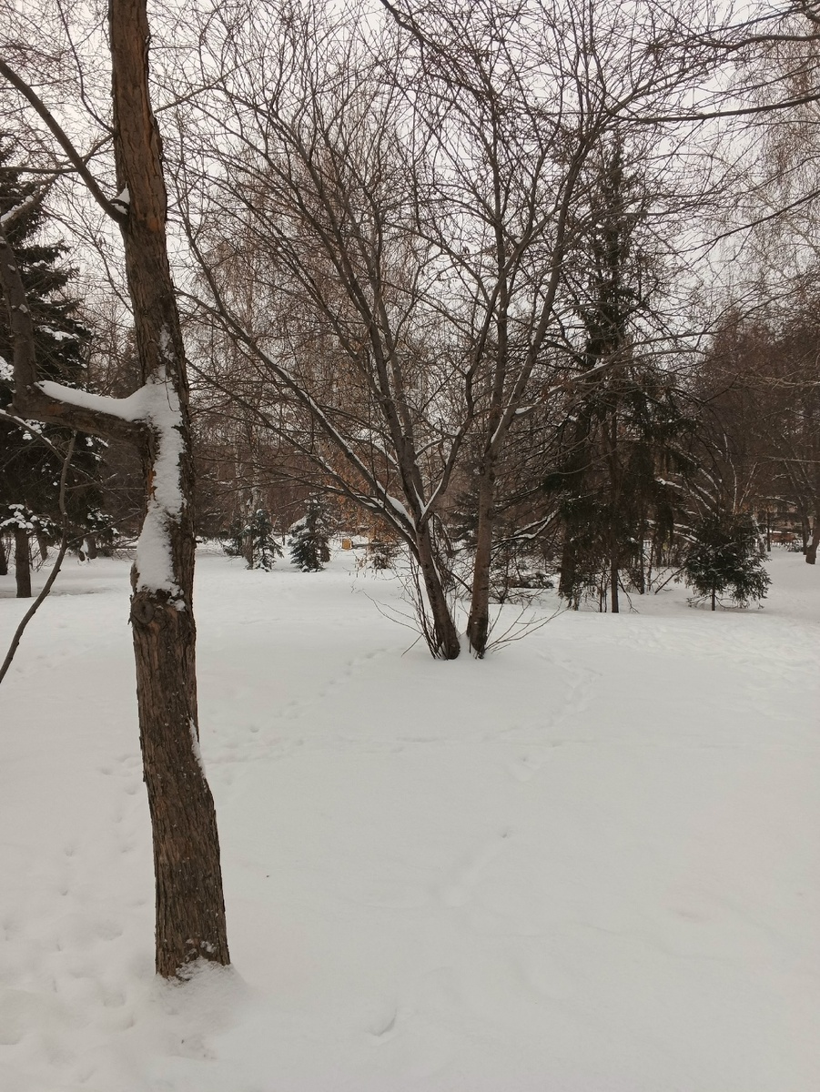 Сквер образца 24.12.2025