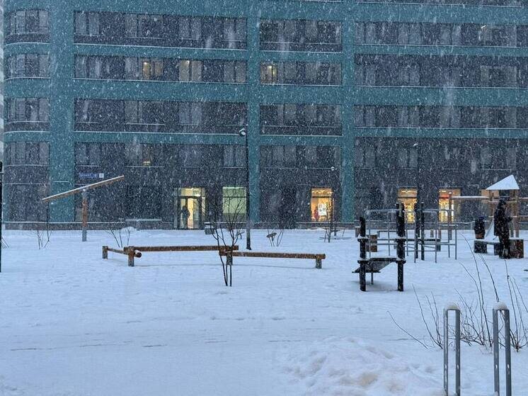     Фото: архив МК в Питере.