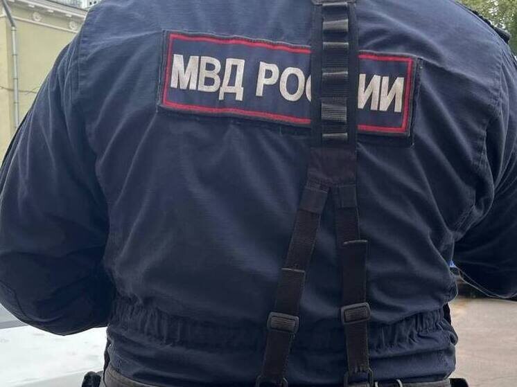     Фото: архив МК в Питере.