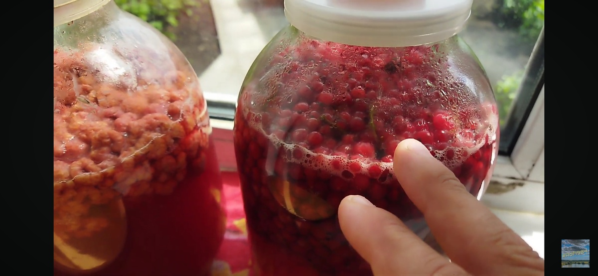 Скрин с моего видео 