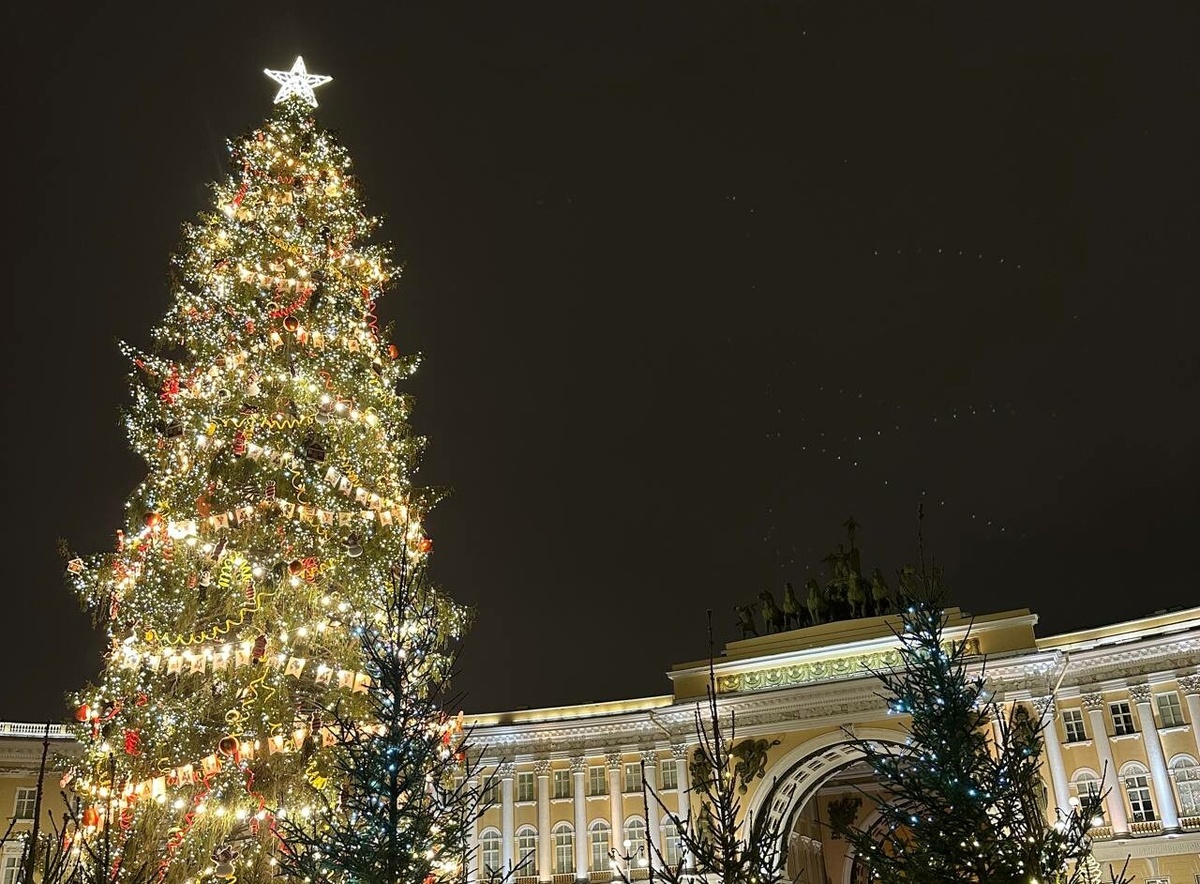     Фото: Бриф 24