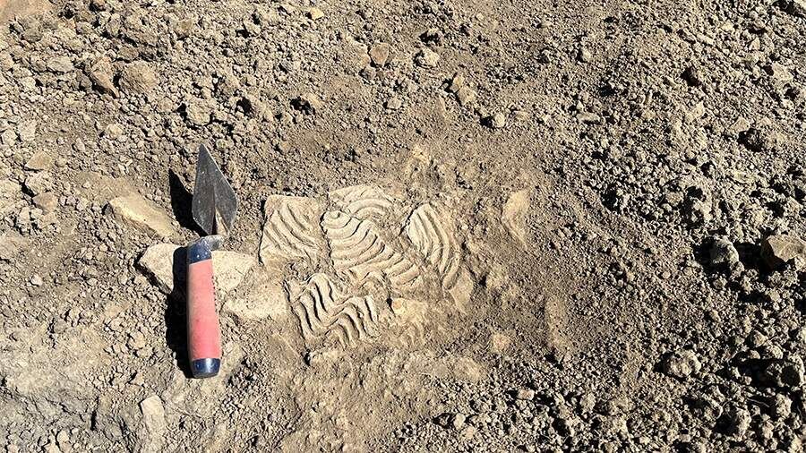    Фото: Global Look Press/Cover Images