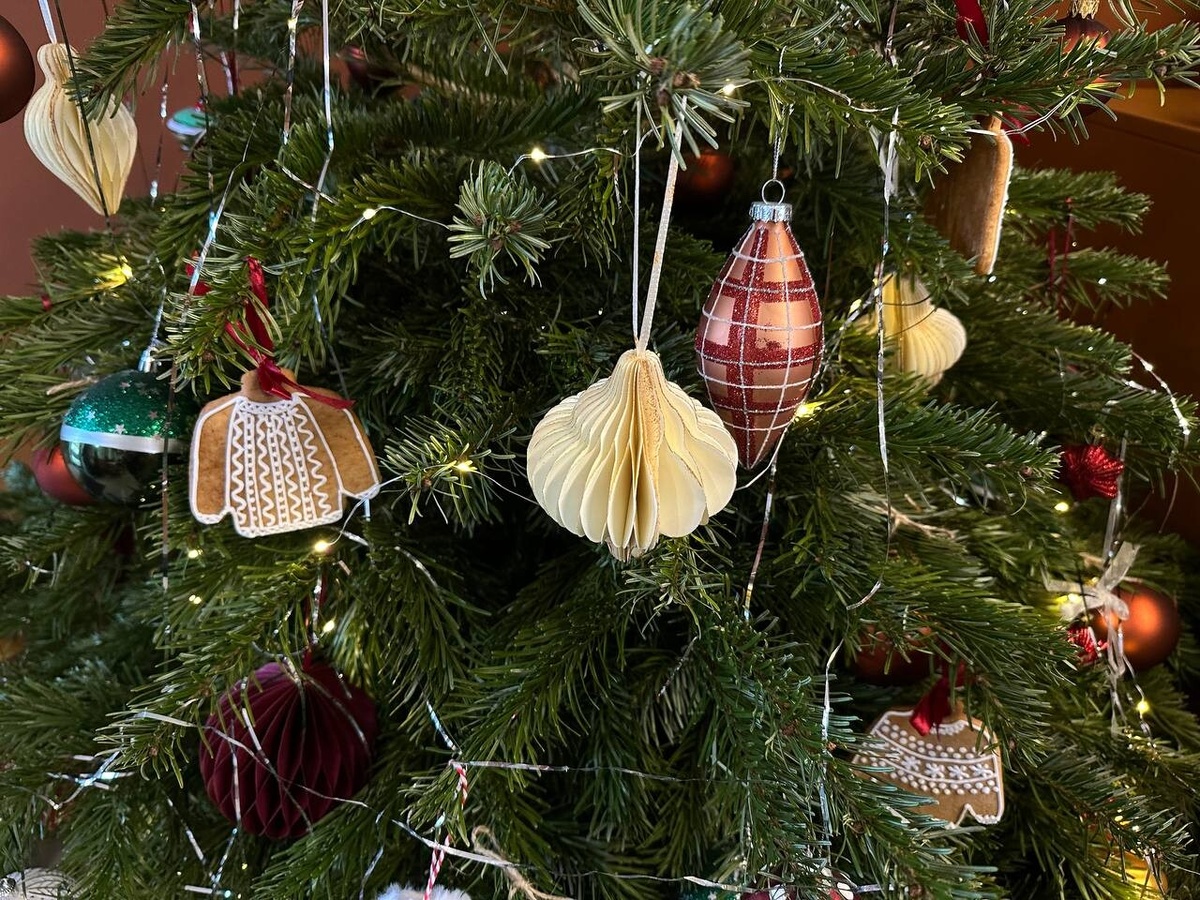     Фото: Бриф24