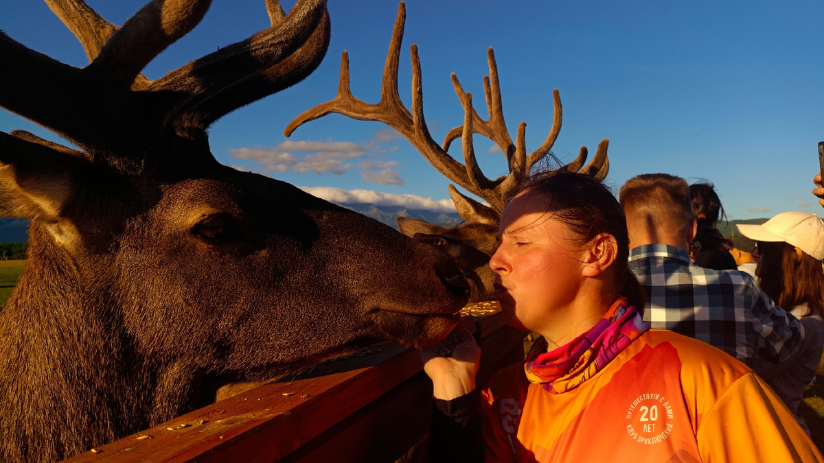 Мораловая ферма