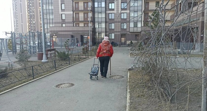 Пенсии нет, а льготы действуют: кто станет предпенсионером в 2026 году и как подтвердить этот статус