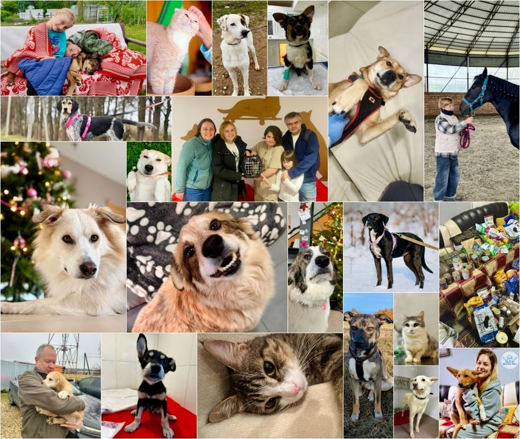 Счастливые моменты фонда «Щенячий Ангел»