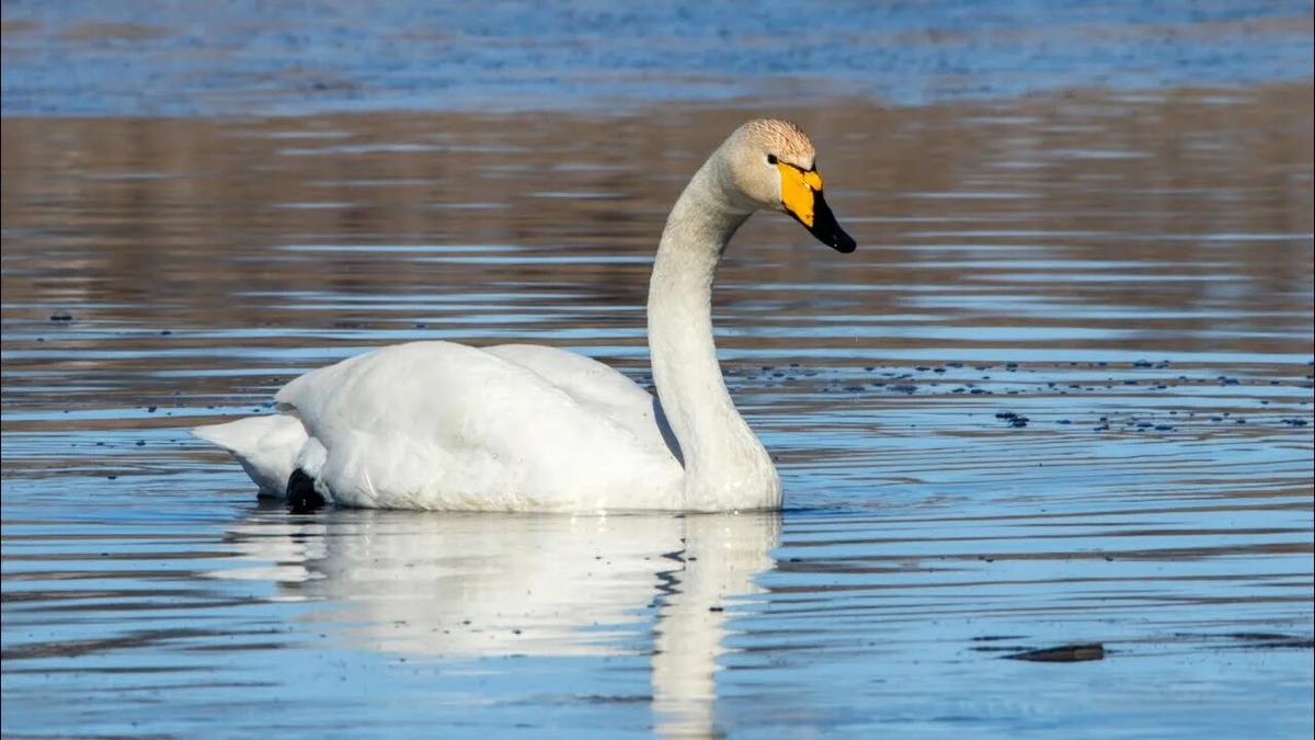 Фотография из интернета