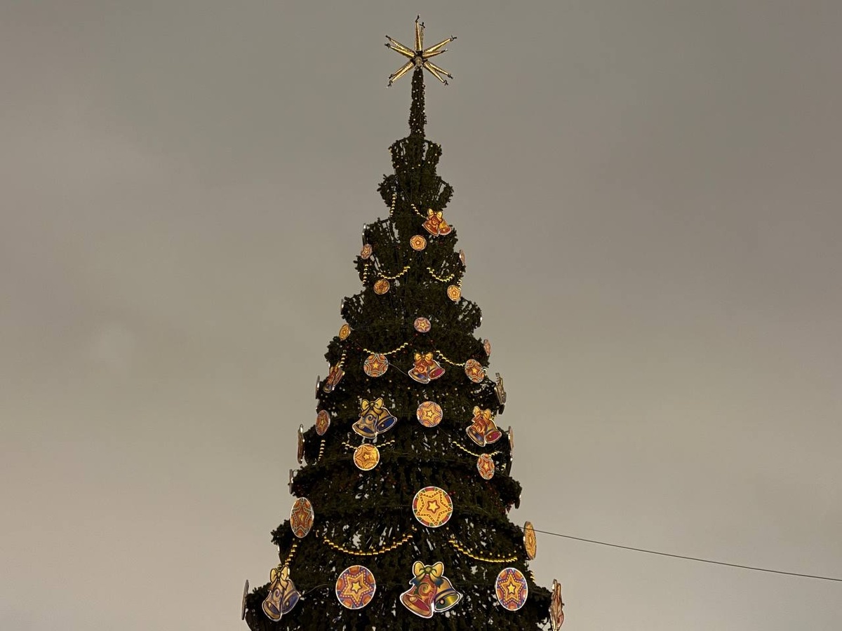 Фото: Neva.Today