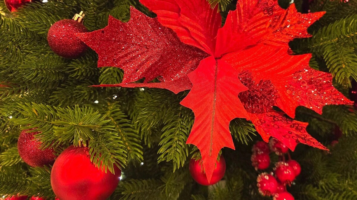    «КубаньПресс»: поздравляем всех с Новым годом   kubanpress.ru