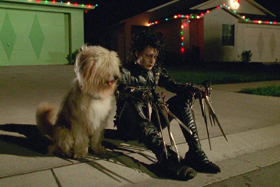 20th Century Fox📷Кадр из фильма «Эдвард руки-ножницы»