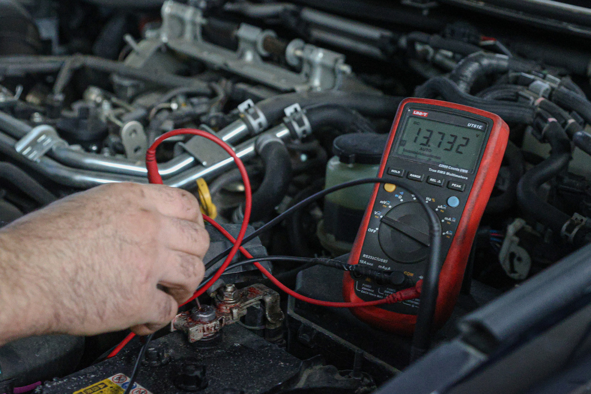     Фото Bulkin Sergey/globallookpress.com