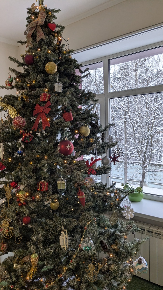 Ёлка в неврологическом отделении больницы. Фото автора