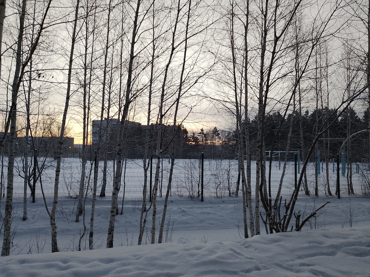 Утро 31 декабря