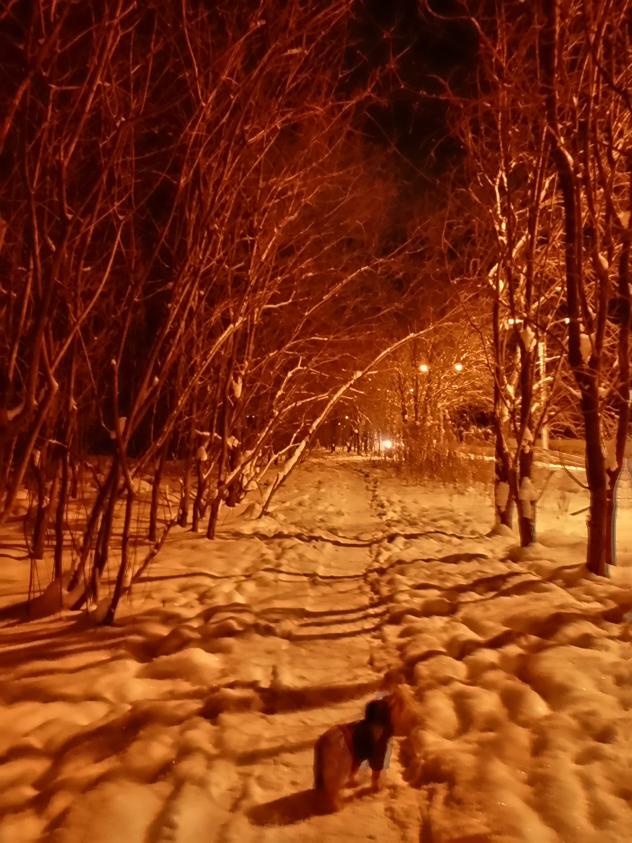 Вечер 30 декабря