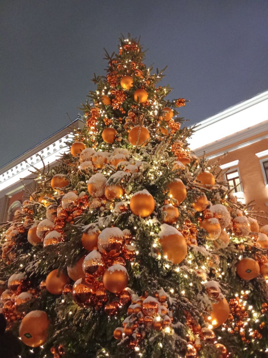 Елка на старом Арбате