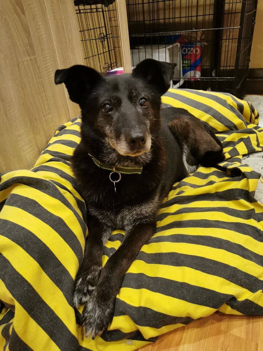 Черри дома 💖