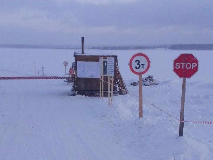    Фото: МКУ ЦОБ КМО Полина Анкушина