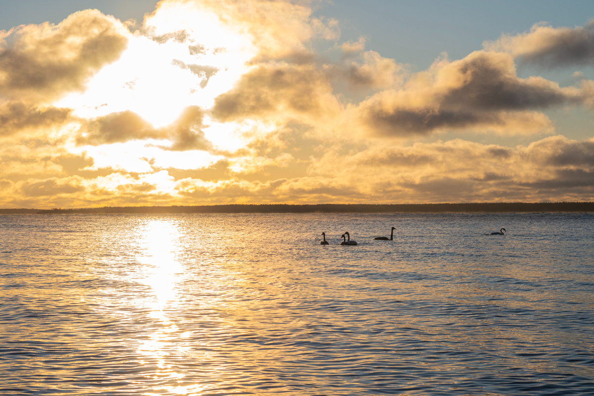 Рубрика фото от меня! Ещё несколько сегодняшних выложу в ТГ!