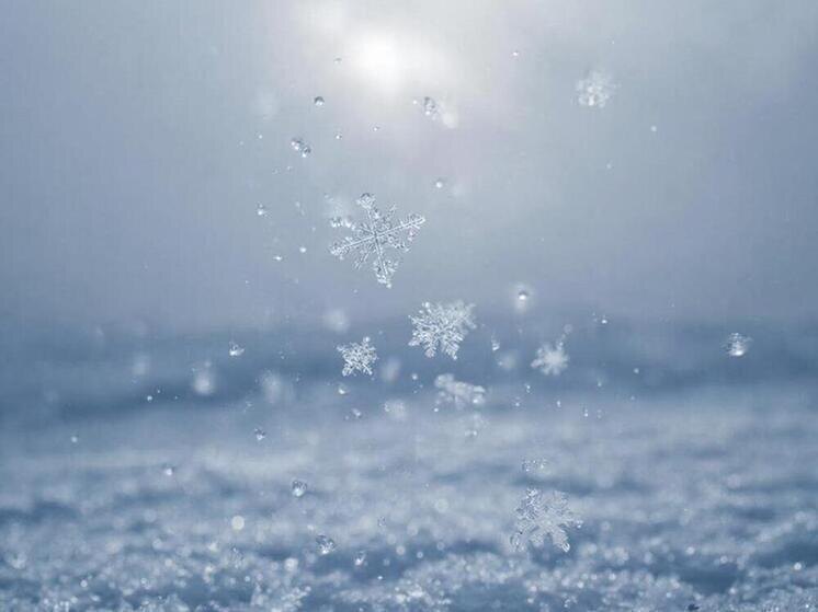     Фото: сгенерировано ИИ